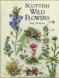 Scottish Wild Flowers