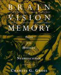 Brain, Vision, Memory