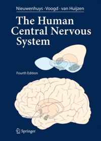 Human Central Nervous System