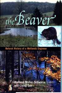 The Beaver