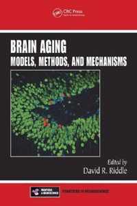 Brain Aging