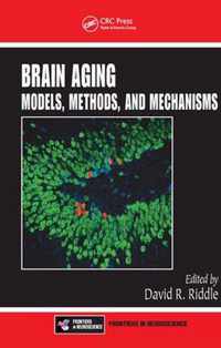 Brain Aging