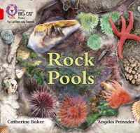 Collins Big Cat Phonics for Letters and Sounds - Rock Pools