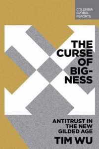 The Curse of Bigness