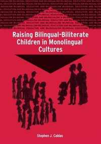 Raising Bilingual-Biliterate Children in Monolingual Cultures (Bilingual Education and Bilingualism)