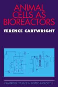 Animal Cells as Bioreactors