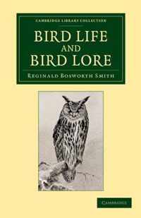 Bird Life and Bird Lore