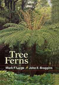 Tree Ferns