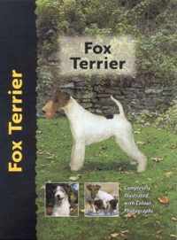 Fox Terrier