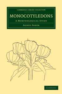 Monocotyledons