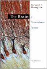 The Brain