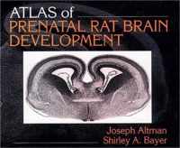 Atlas of Prenatal Rat Brain Development