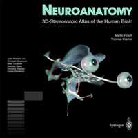 Neuroanatomy