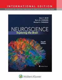 Neuroscience 4E International Edition