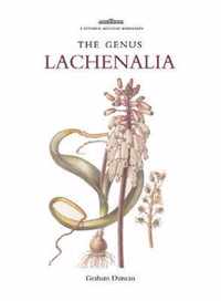 The Genus Lachenalia