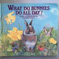 What Do Bunnies Do All Day?