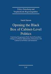 Opening the Black-Box of Cabinet-Level Politics