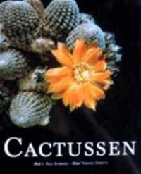 CACTUSSEN