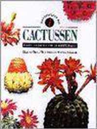 Identificeren van cactussen