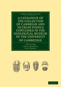 A Catalogue of the Collection of Cambrian and Silurian Fossils Contained in the Geological Museum of the University of Cambridge