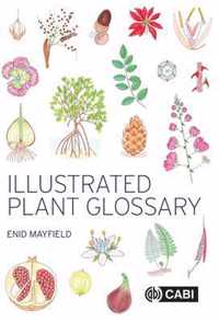 Illustrated Plant Glossary