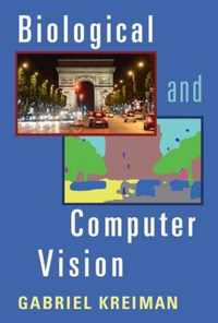 Biological and Computer Vision