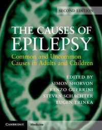 The Causes of Epilepsy