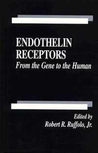 Endothelin Receptors