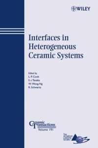 Interfaces in Heterogeneous Ceramic Systems