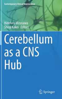 Cerebellum as a CNS Hub