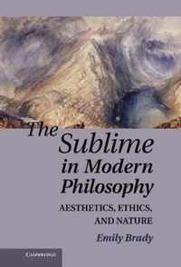 The Sublime in Modern Philosophy