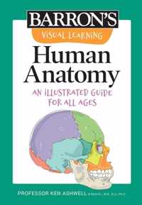 Visual Learning: Human Anatomy