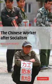 The Chinese Worker After Socialism