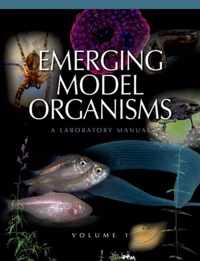 Emerging Model Organisms