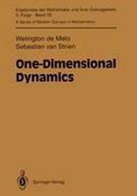 One-Dimensional Dynamics