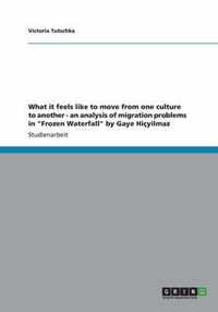 What it feels like to move from one culture to another - an analysis of migration problems in Frozen Waterfall by Gaye Hicyilmaz