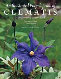 An Illustrated Encyclopedia of Clematis