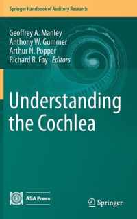 Understanding the Cochlea