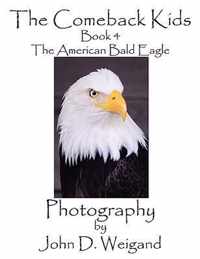The Comeback Kids, Book 4, The American Bald Eagle
