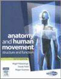 Anatomy And Human Movement