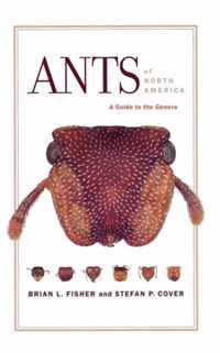 Ants of North America