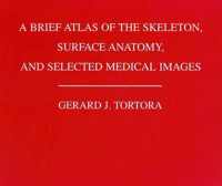 A Brief Atlas of the Human Skeleton, Surface Anatomy and Selected Medical Images