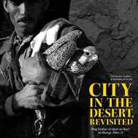 City in the Desert, Revisited