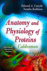 Anatomy & Physiology of Proteins