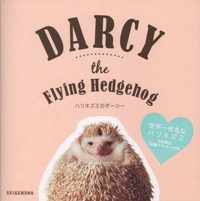 Darcy the Flying Hedgehog