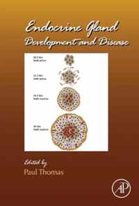 Endocrine Gland Development and Disease