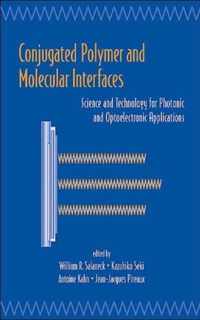 Conjugated Polymer and Molecular Interfaces