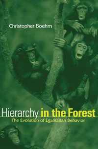 Hierarchy in the Forest