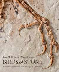 Birds of Stone - Chinese Avian Fossils from the Age of Dinosaurs