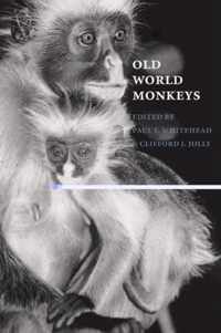 Old World Monkeys